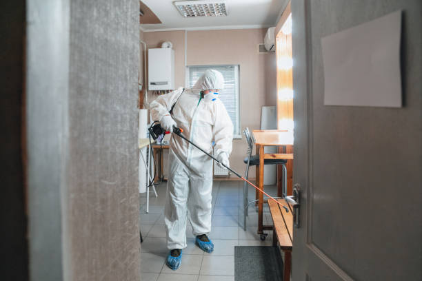 Best Air Quality Testing for Mold Spores  in Santaquin, UT