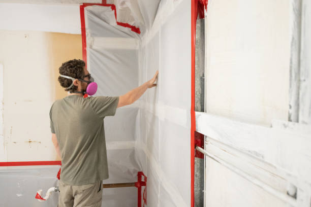 Best Asbestos and Lead Testing During Mold Inspection  in Santaquin, UT