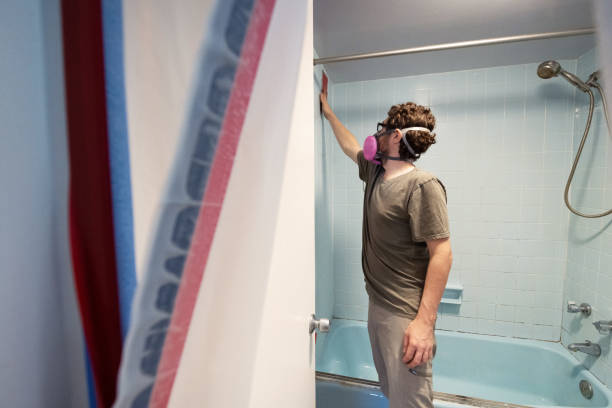 Best Commercial Mold Inspection  in Santaquin, UT