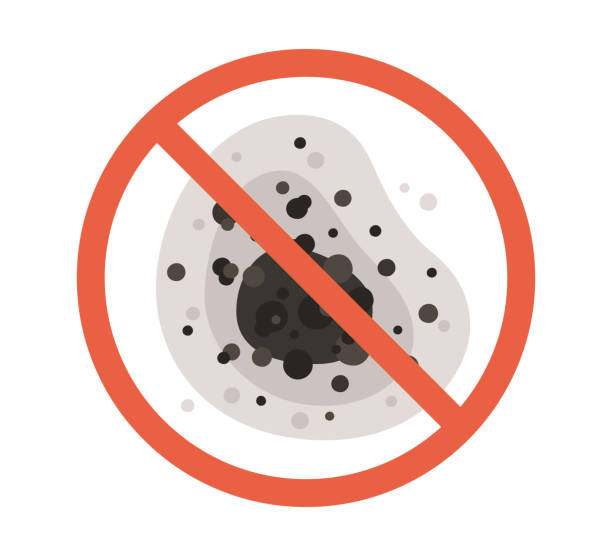 Best Mold Odor Removal Services  in Santaquin, UT
