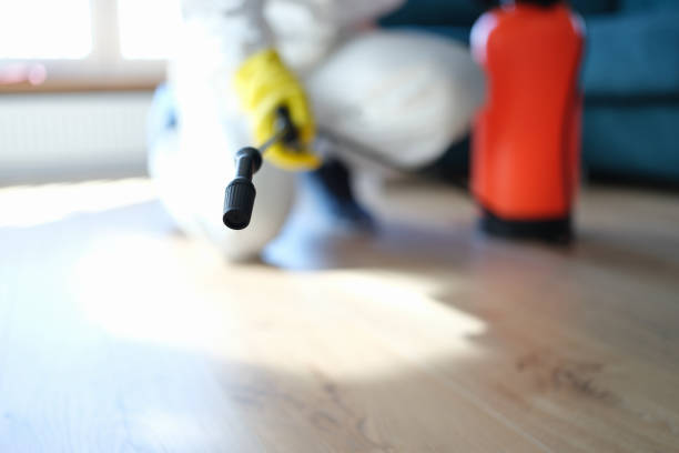 Best Biohazard Mold Removal  in Santaquin, UT