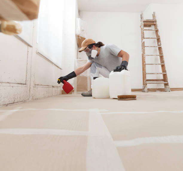 Best Comprehensive Air Testing for Mold Contaminants  in Santaquin, UT