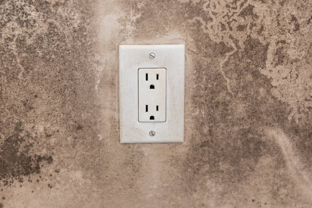 Best Mold Odor Removal Services  in Santaquin, UT