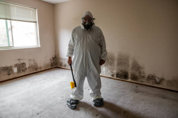Best Industrial Mold Remediation  in Santaquin, UT