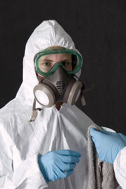 Best Environmental Consulting for Mold Prevention  in Santaquin, UT
